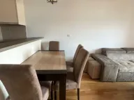 Izdavanje, jednosoban stan, 45m², Tuški Put, Podgorica - image 7