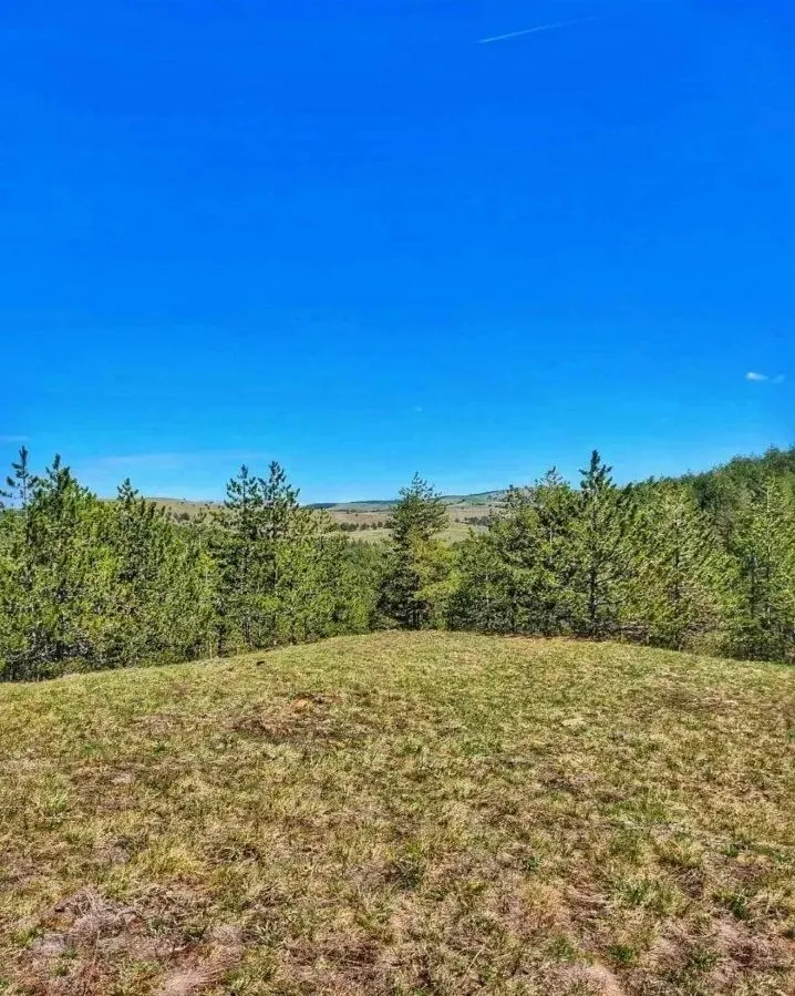 Prodaja, plac, 400m², Centar, Zlatibor