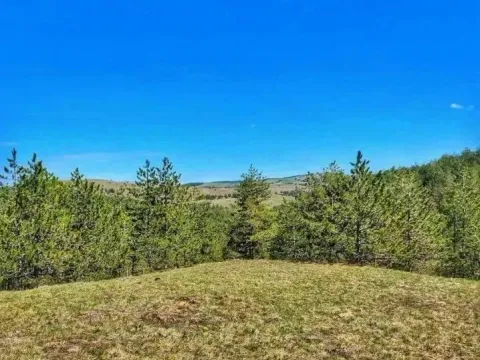 Prodaja, plac, 400m², Centar, Zlatibor - image 6
