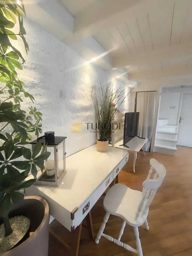 Rent, one bedroom apartment, 45m², Botanička Bašta, Palilula Sve Podlokacije