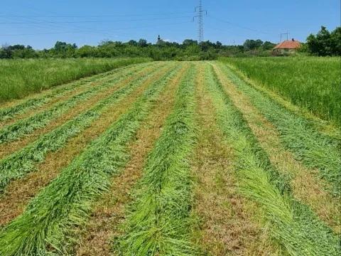 Prodaja, plac, 171900m², Čumić, Kragujevac - image 12