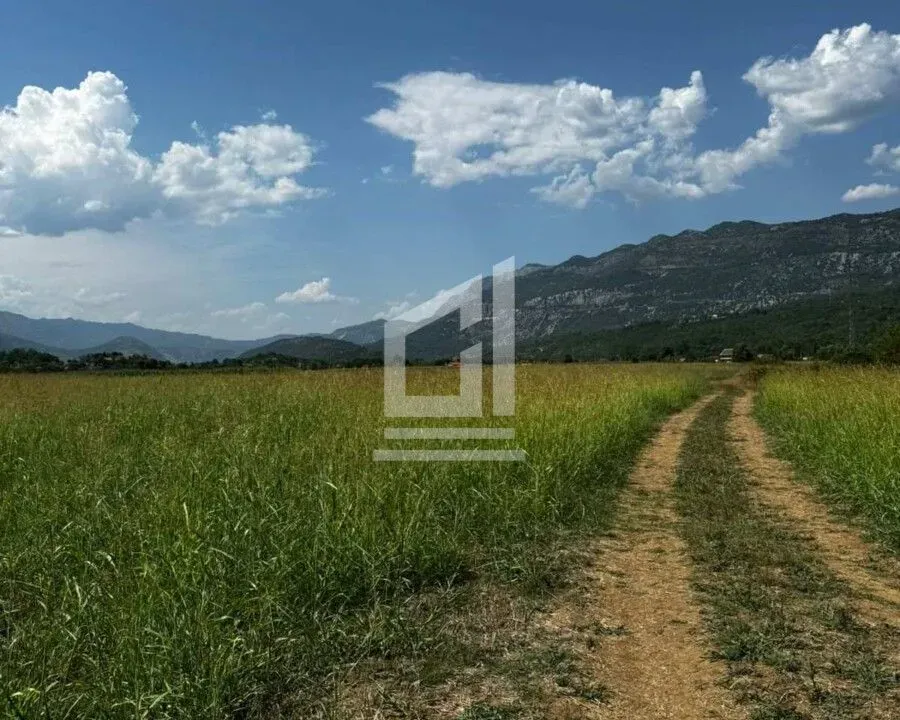 Prodaja, plac, 4000m², Danilovgrad, Crna Gora