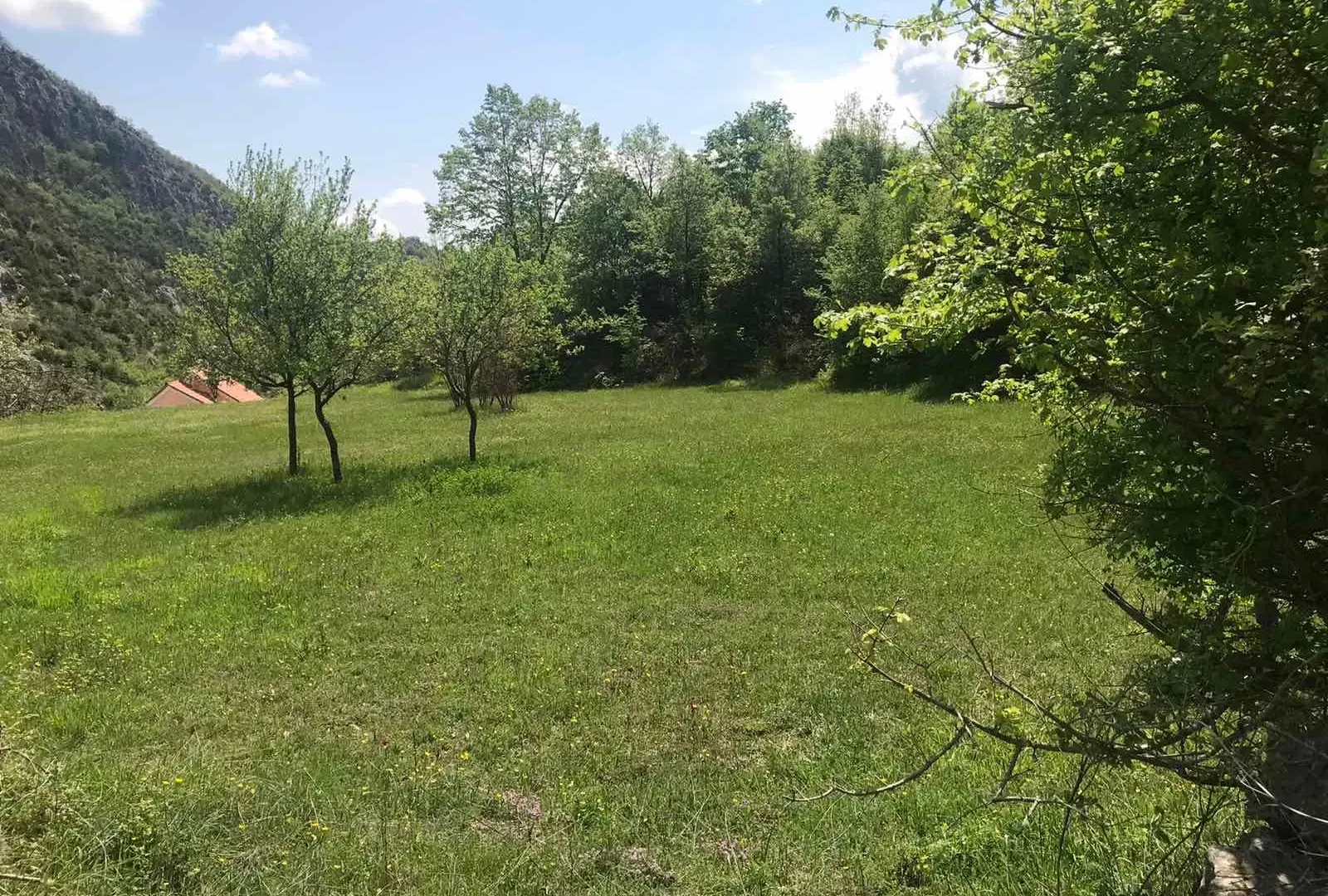 Prodaja, plac, 5000m², Danilovgrad, Crna Gora