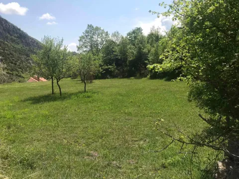 Prodaja, plac, 5000m², Danilovgrad, Crna Gora - image 5