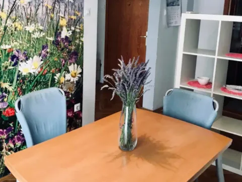 Prodaja, dvosoban stan, 53m², Grbavica, Novi Sad Sve Podlokacije - image 6