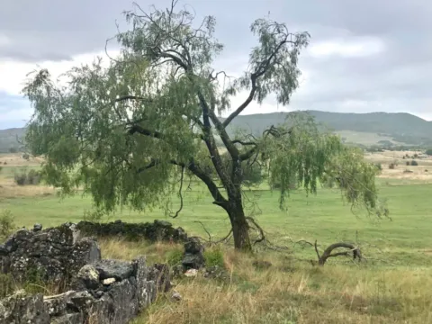 Sale, land lot, 162000m², Lukovo, Nikšić - image 4