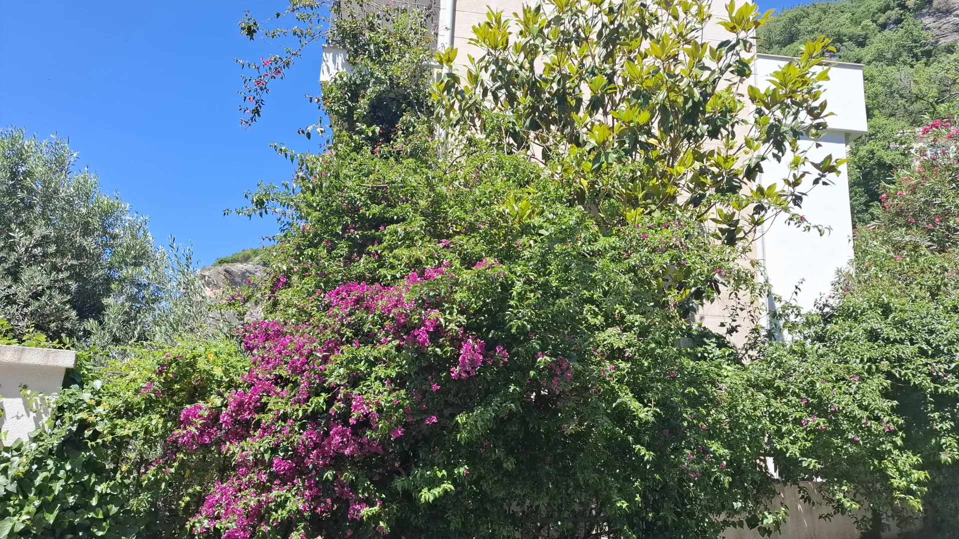 Sale, house, 380m², Perazića do, Budva