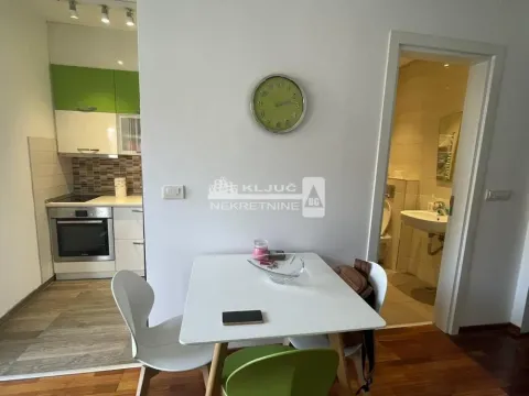 Izdavanje, dvosoban stan, 40m², Vračar Sve Podlokacije, Beograd - image 6