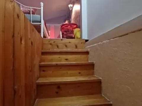 Prodaja, dvosoban stan, 53m², Skojevsko Naselje, Beograd - image 5