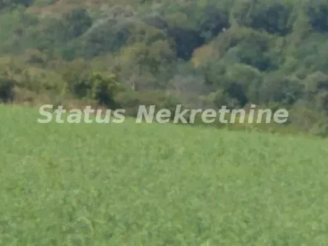 Prodaja, plac, 7600m², Ledinci, Petrovaradin - image 6