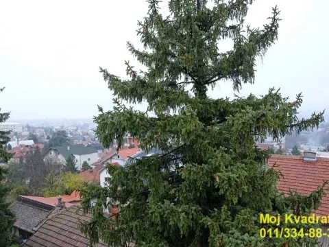 Prodaja, jednosoban stan, 47m², Voždovac Sve Podlokacije, Beograd - image 10