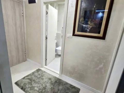 Izdavanje, jednosoban stan, 50m², Central Point, Podgorica - image 11