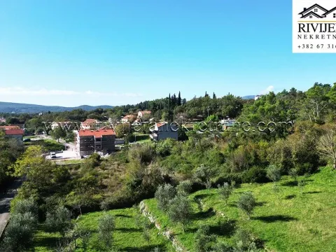 Prodaja, plac, 12341m², Mrčevac, Tivat - image 9