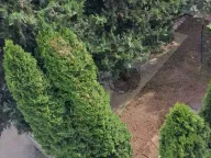 Prodaja, kuća, 400m², Zemun Sve Podlokacije, Beograd - image 18