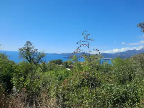 Prodaja, plac, 5300m², Budva, Crna Gora - image 1