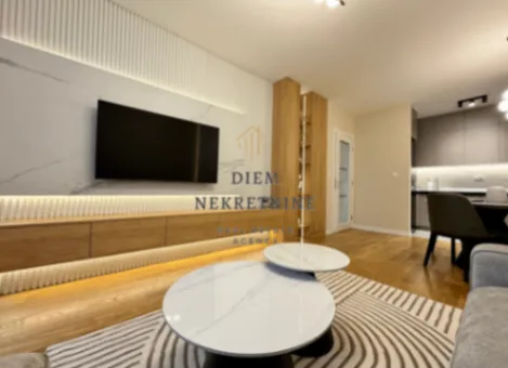 Izdavanje, jednosoban stan, 50m², Central Point, Podgorica - image 12