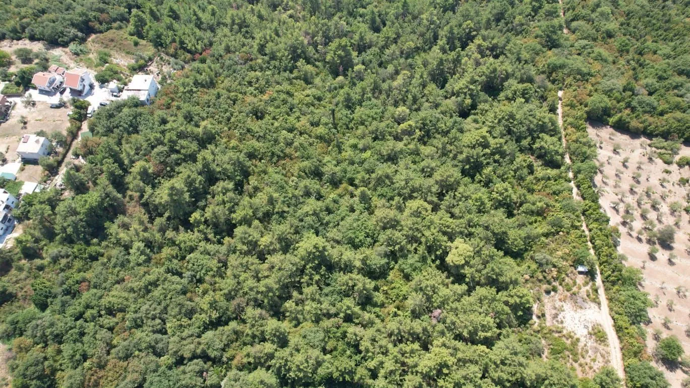 Prodaja, plac, 7700m², Kavač, Kotor