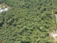 Sale, land lot, 7700m², Kavač, Kotor - image 15