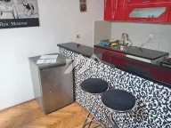 Izdavanje, stan, 24m², Bulevar Oslobodjenja, Novi Sad Sve Podlokacije - image 3