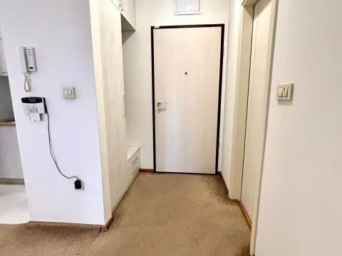 Rent, one bedroom apartment, 45m², Zabjelo, Podgorica - image 6
