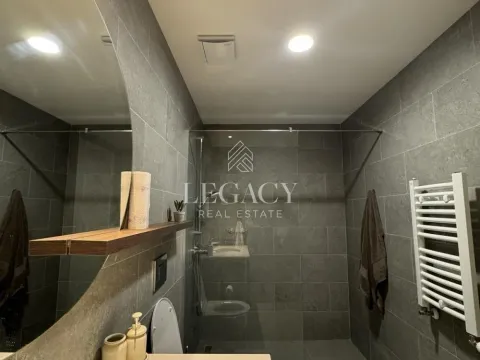 Izdavanje, dvosoban stan, 59m², Savski Venac, Beograd - image 7