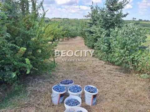 Sale, land lot, 54m², Sremčica, Beograd - image 5