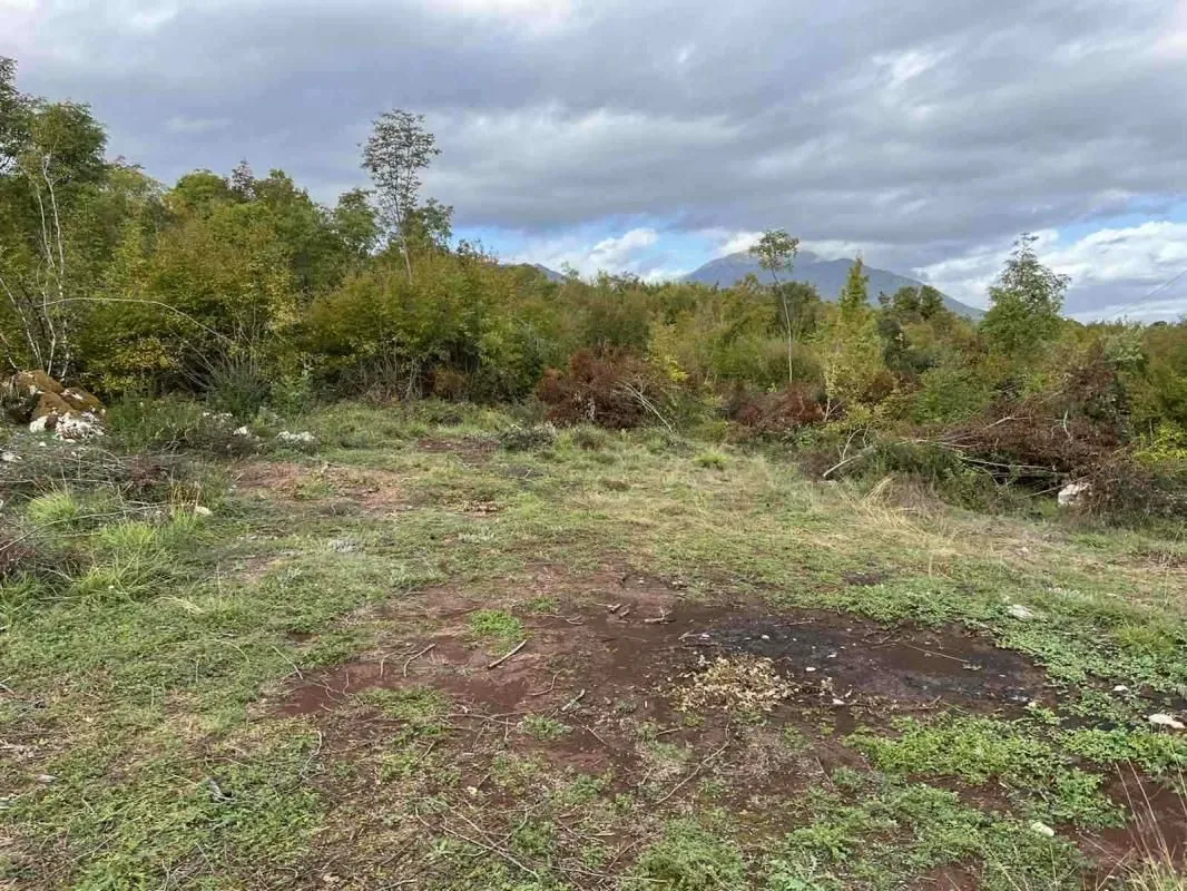 Prodaja, plac, 19808m², Danilovgrad, Crna Gora