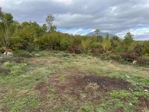 Prodaja, plac, 19808m², Danilovgrad, Crna Gora - image 4