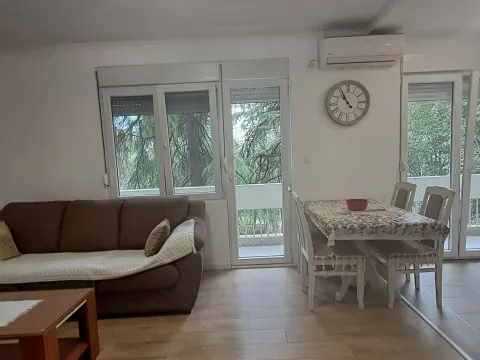 Izdavanje, dvosoban stan, 68m², Gintaš, Podgorica - image 4