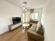 Izdavanje, jednosoban stan, 45m², Ljubović, Podgorica - image 1