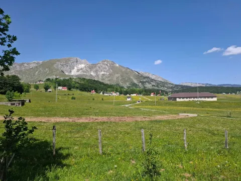 Prodaja, plac, 921m², Žabljak, Crna Gora - image 3