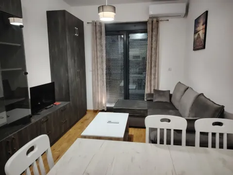 Rent, one bedroom apartment, 59m², Central Point, Podgorica - image 1316