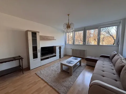 Izdavanje, dvosoban stan, 59m², Novi Beograd Sve Podlokacije, Beograd - image 1