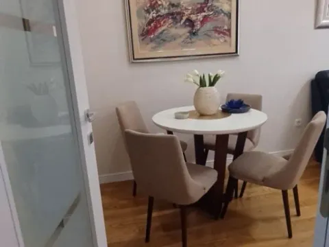 Izdavanje, jednosoban stan, 45m², Central Point, Podgorica - image 3