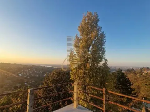 Prodaja, kuća, 550m², Sremska Kamenica, Petrovaradin - image 5