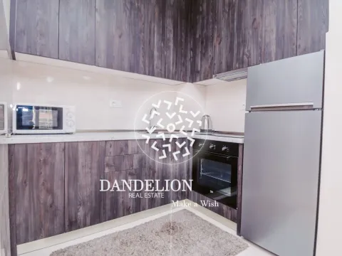 Izdavanje, jednosoban stan, 40m², Central Point, Podgorica - image 3