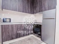 Izdavanje, jednosoban stan, 40m², Central Point, Podgorica - image 3