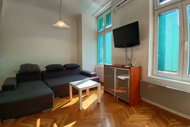 Rent, one bedroom apartment, 25m², Dorćol Sve Podlokacije, Beograd