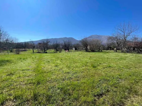 Sale, land lot, 5000m², Danilovgrad, Crna Gora - image 6