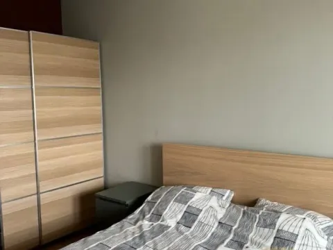 Izdavanje, jednosoban stan, 60m², Zemun Sve Podlokacije, Beograd - image 9