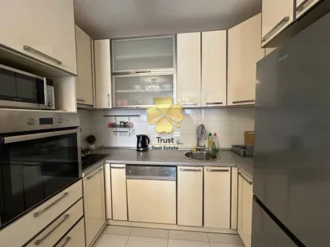 Izdavanje, jednosoban stan, 45m², Stari Aerodrom, Podgorica - image 4