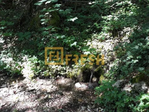 Prodaja, plac, 74000m², Kolašin, Crna Gora - image 11