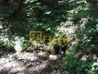 Prodaja, plac, 74000m², Kolašin, Crna Gora - image 11