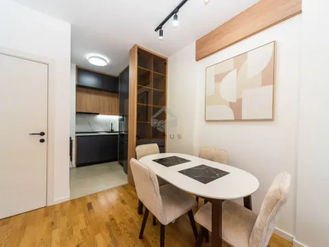 Izdavanje, jednosoban stan, 41m², Stari Aerodrom, Podgorica - image 4