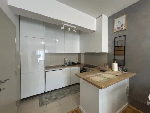 Izdavanje, jednosoban stan, 45m², Ljubović, Podgorica - image 3