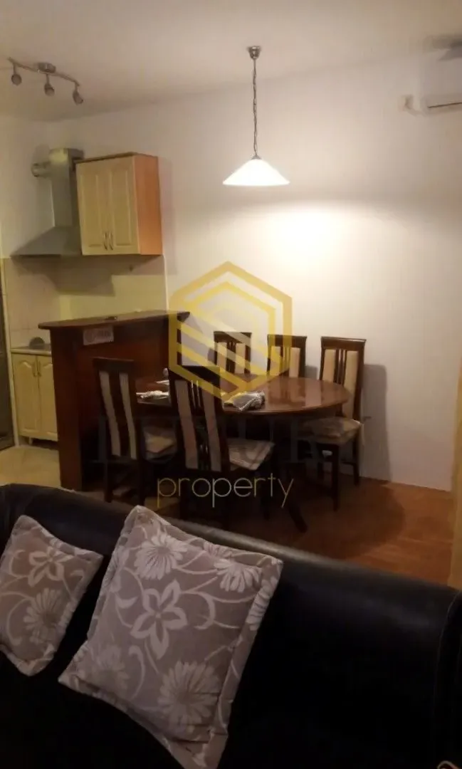 Izdavanje, jednosoban stan, 48m², Stari Aerodrom, Podgorica