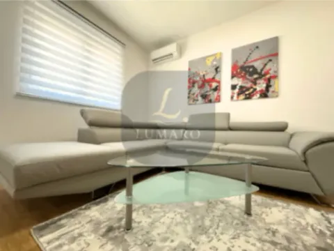 Izdavanje, jednosoban stan, 48m², Stari Aerodrom, Podgorica - image 6