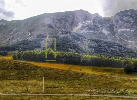 Prodaja, plac, 5320m², Žabljak, Crna Gora - image 2
