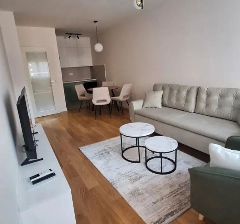 Izdavanje, jednosoban stan, 47m², Central Point, Podgorica