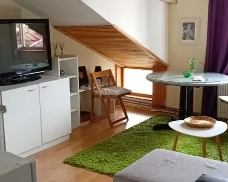 Izdavanje, jednosoban stan, 38m², Novi Sad, Srbija - image 1